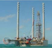 CHEMICAL AND PETROCHEMICAL INDUSTRY PIPE WIPERS